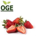 Erdbeeren Premium (500g)